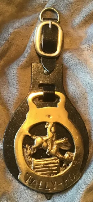Brass Leather Tally Ho!