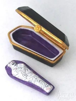 Coffin With Mummys
