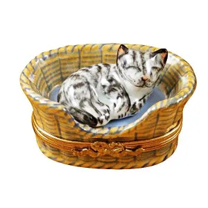 Dreaming Cat with Mouse Inside
