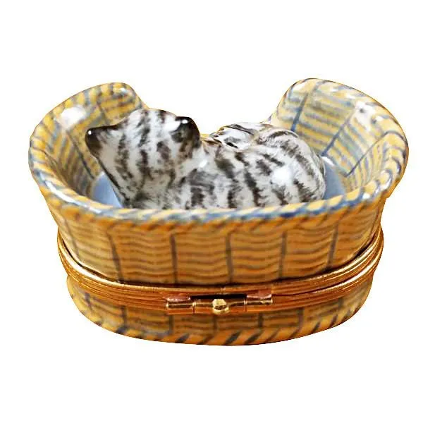 Dreaming Cat with Mouse Inside