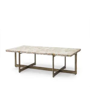 Durham Fossilized Clam Coffee Table
