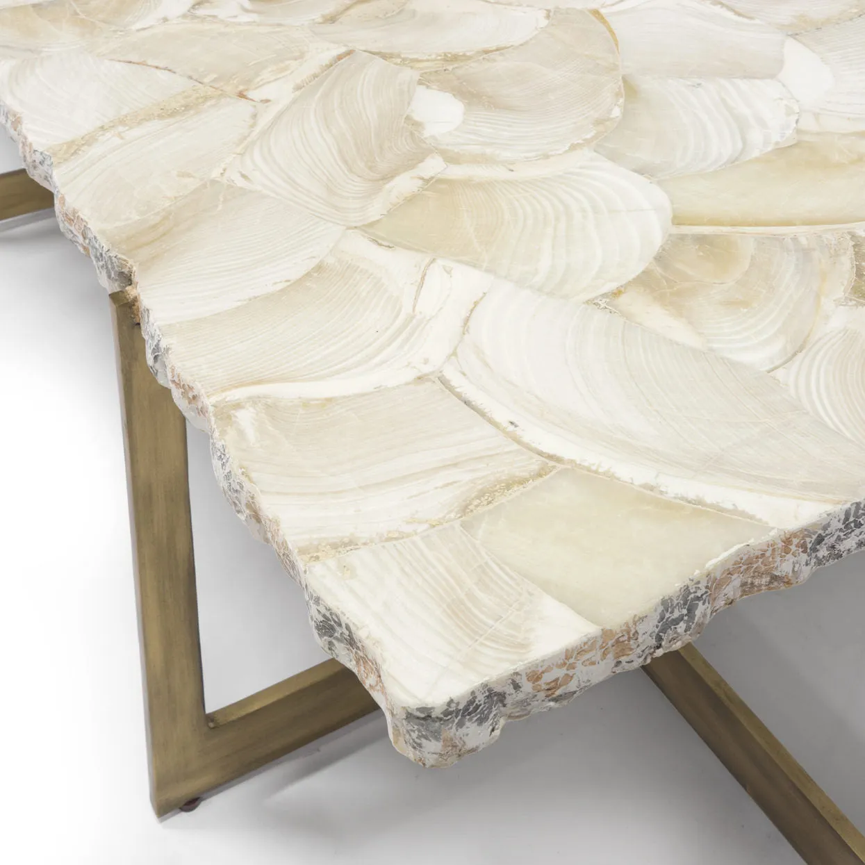 Durham Fossilized Clam Coffee Table