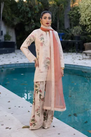 ERUM KHAN STORE | LUXURY PRET | Flamingo