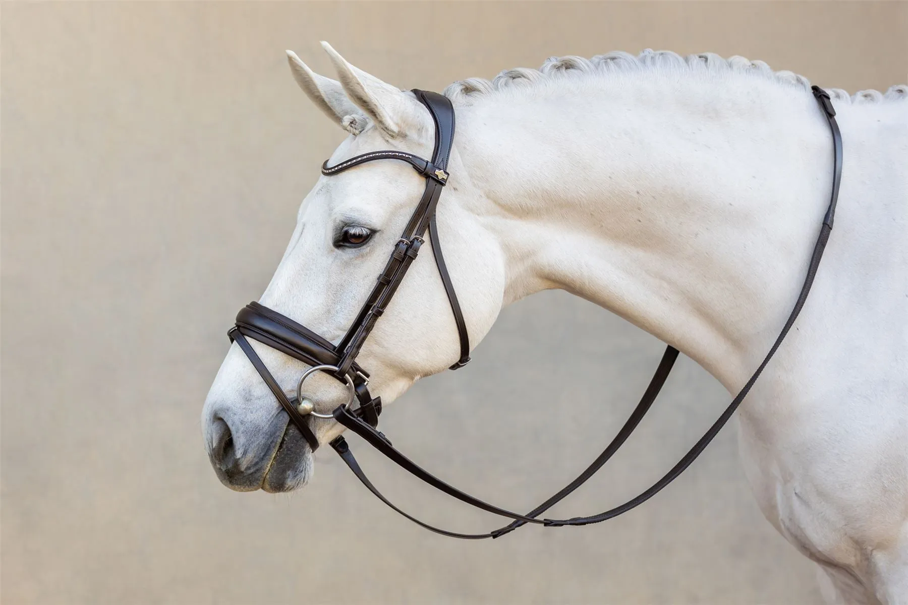 LeMieux Classic Dressage Bridle