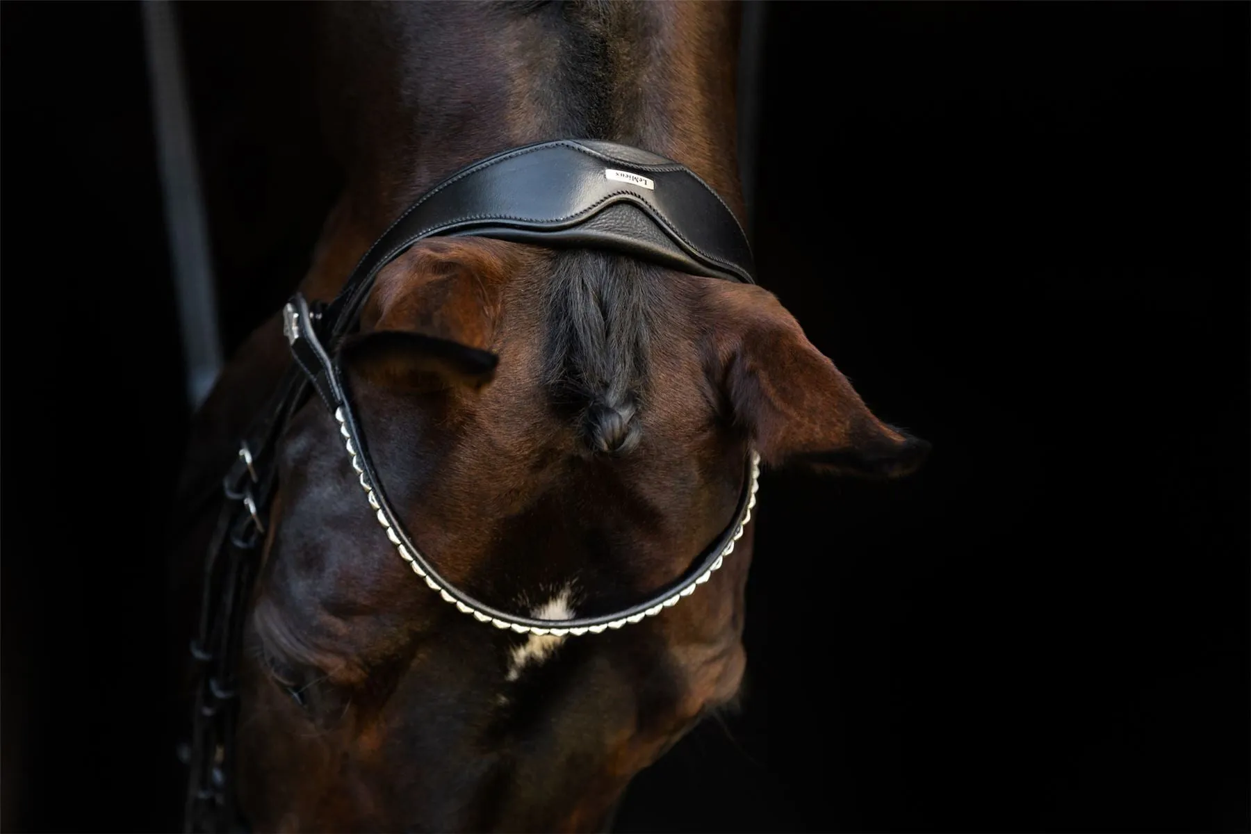 LeMieux Classic Dressage Bridle
