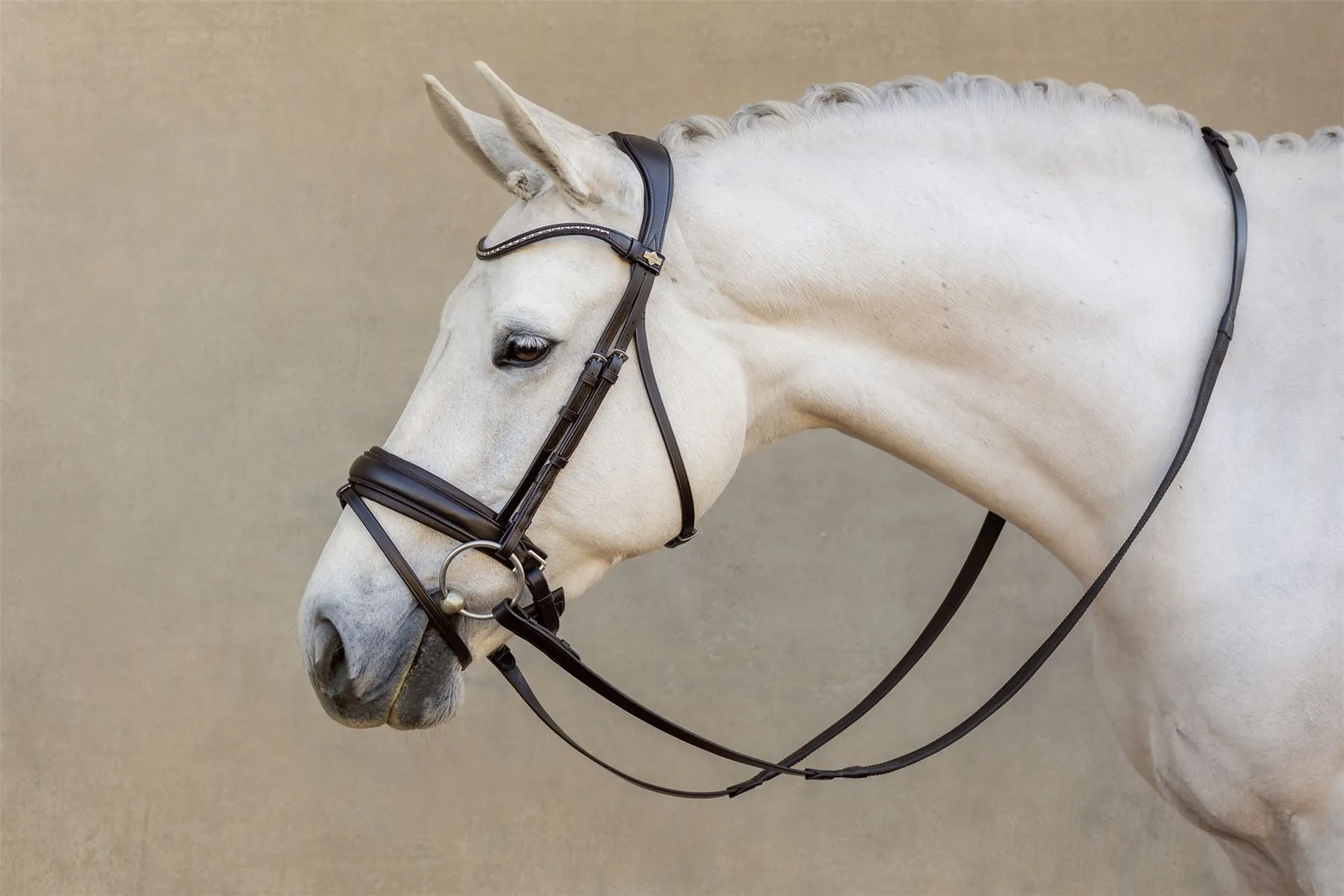 LeMieux Classic Dressage Bridle