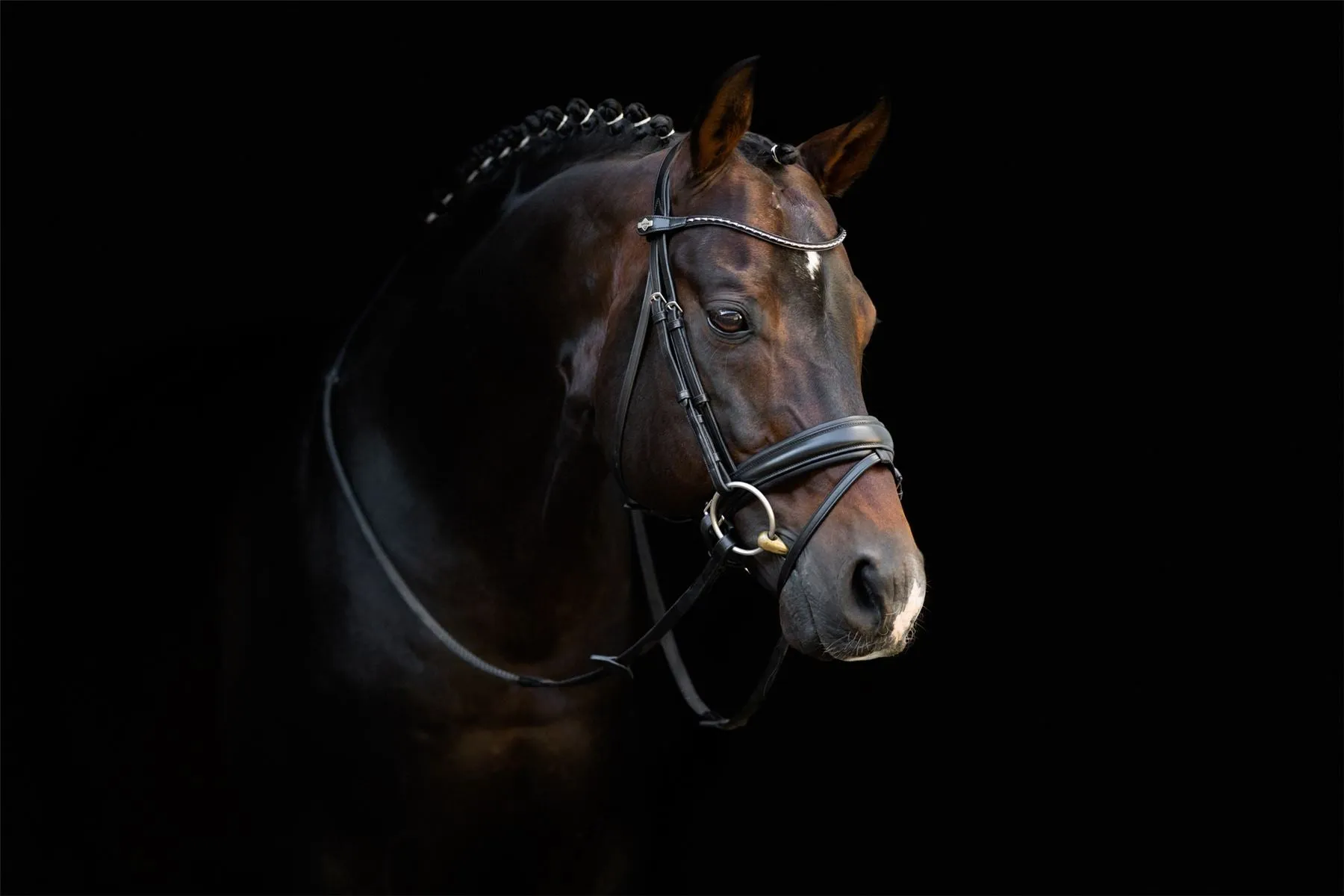 LeMieux Classic Dressage Bridle