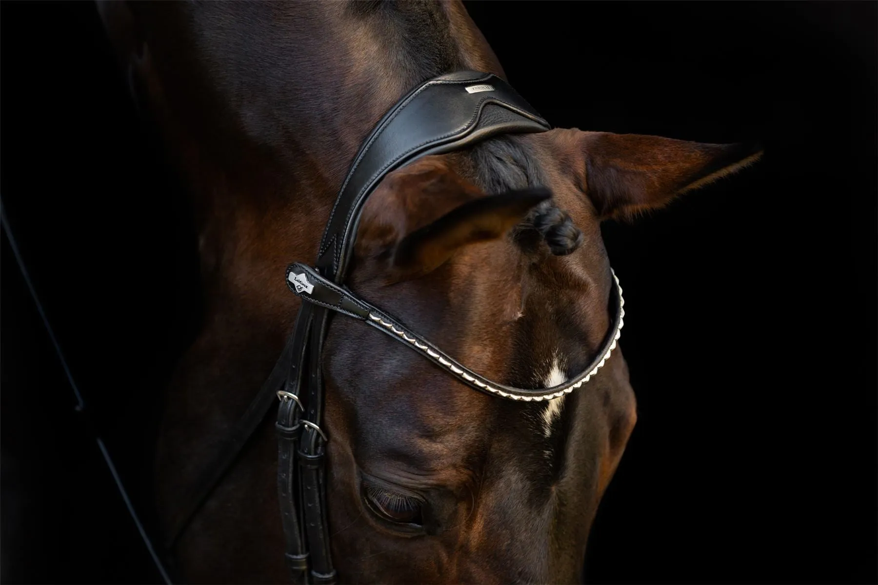 LeMieux Classic Dressage Bridle
