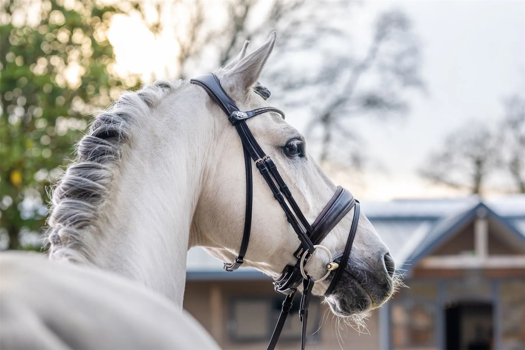 LeMieux Classic Dressage Bridle