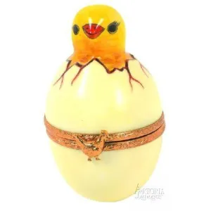Little Chick Bird