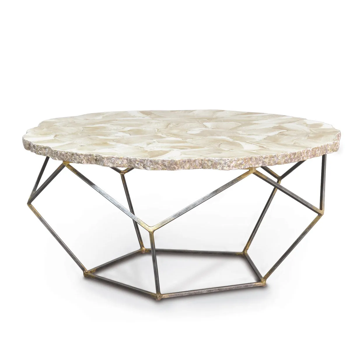 Loren Fossilized Clam Coffee Table