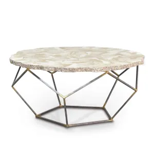 Loren Fossilized Clam Coffee Table