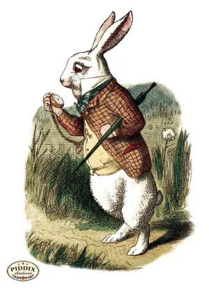 PDXC1185 -- Alice in Wonderland
