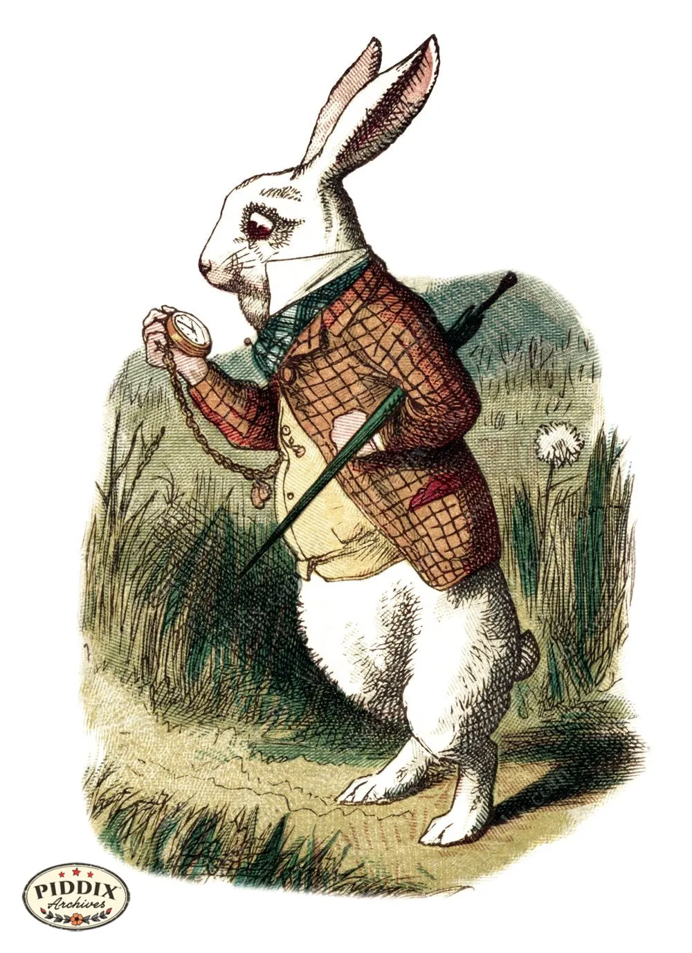 PDXC1185 -- Alice in Wonderland