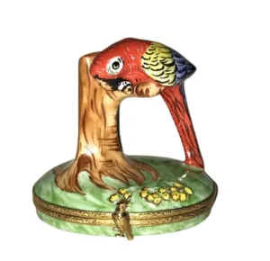 Red Macaw