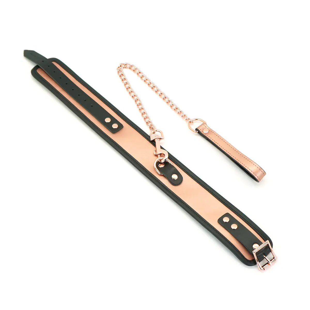Rose Gold Memory Collar and Leash