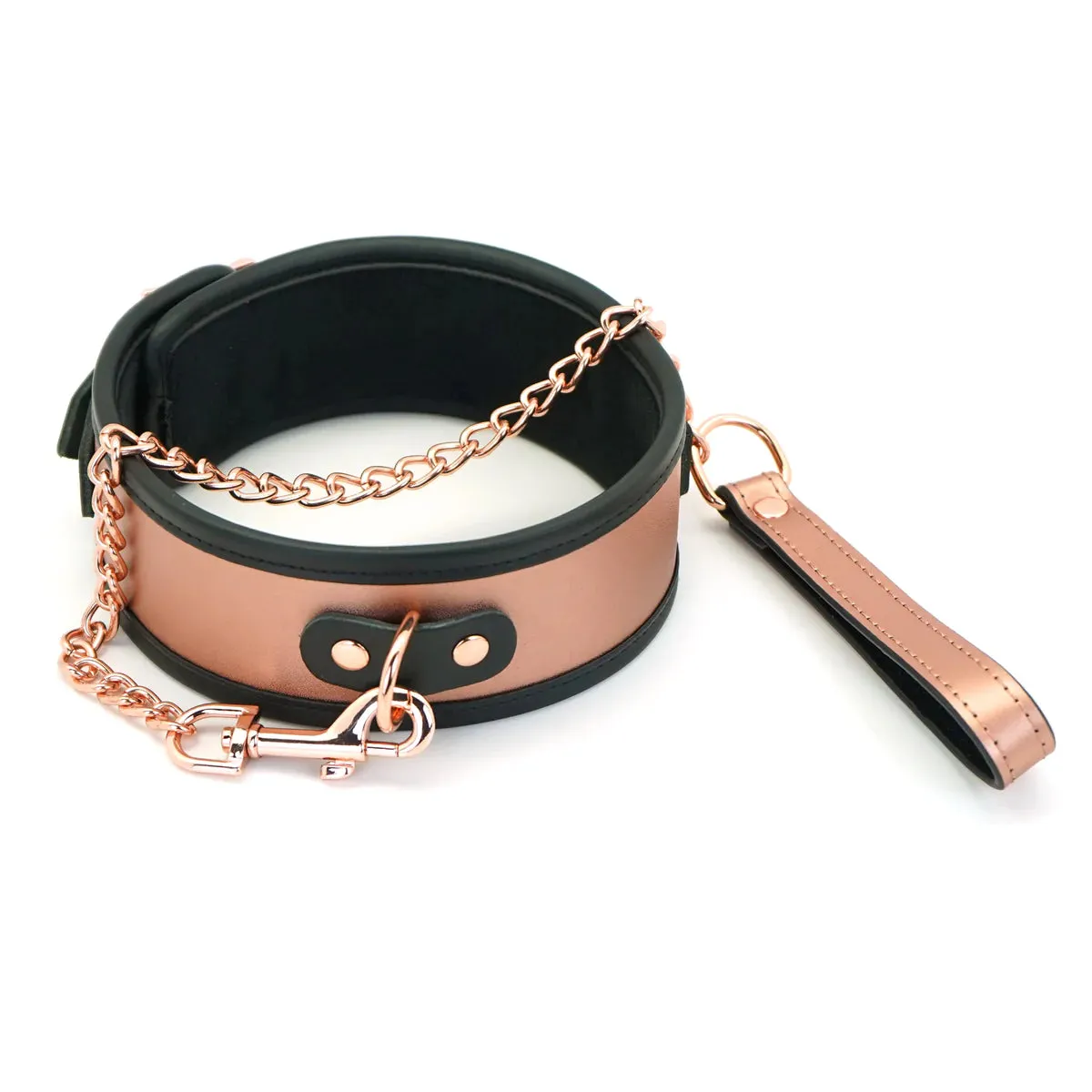 Rose Gold Memory Collar and Leash